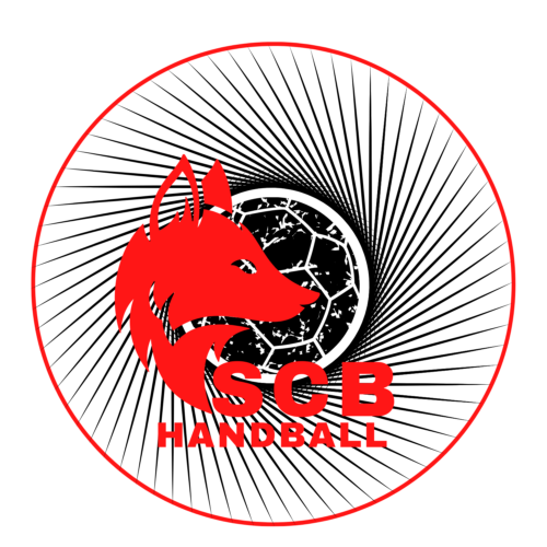 Image de l'article Match amical handball : Angers SCO/Cesson RM