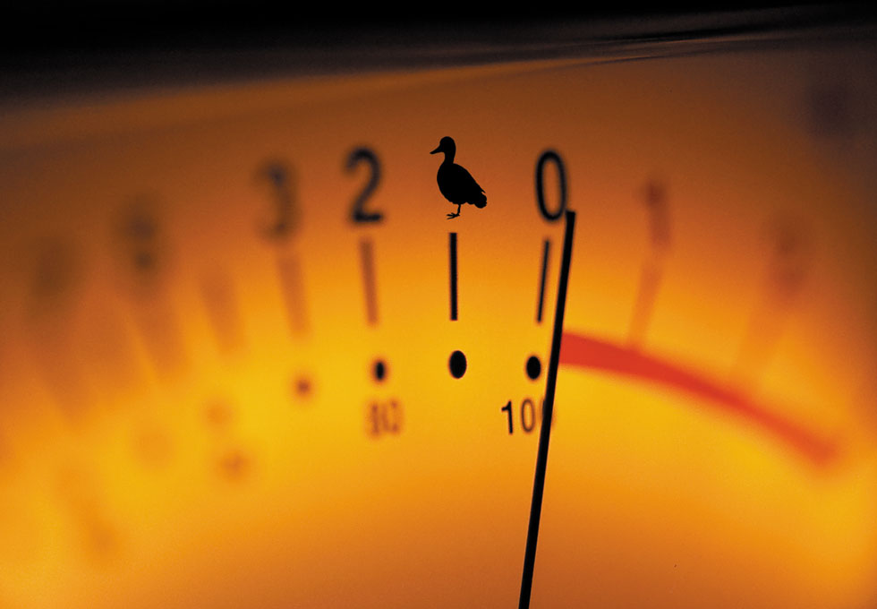 canard fete de la musique