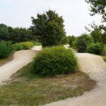 Image de l'article Terrain de bicross