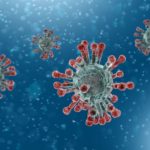 Image de l'article Coronavirus : fermeture des établissements publics