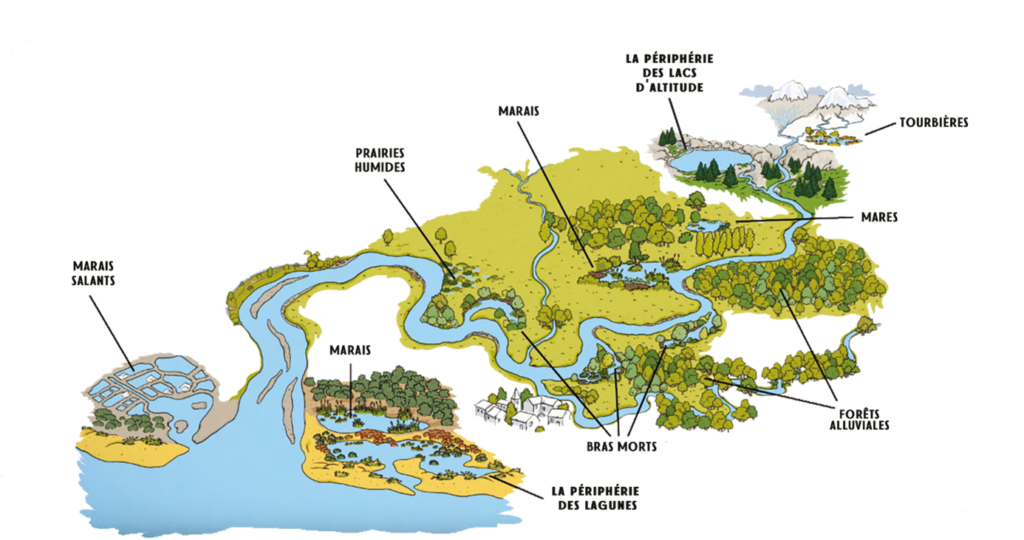 Image de l'article Zones humides : un inventaire dans l’agglomération