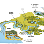 Image de l'article Zones humides : un inventaire dans l’agglomération