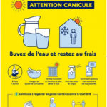 Image de l'article Fortes chaleurs