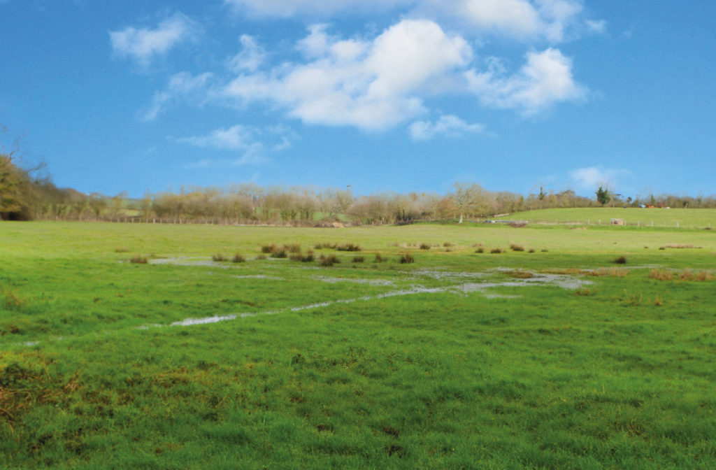 Image de l'article Inventaire des zones humides sur le territoire d’Angers Loire Métropole