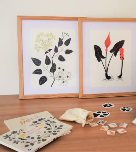Image de l'article Exposition : « L’herbier » avec Emilie Vast