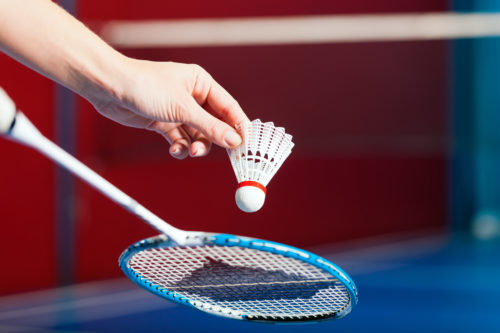 Image de l'article Tournoi national de Badminton