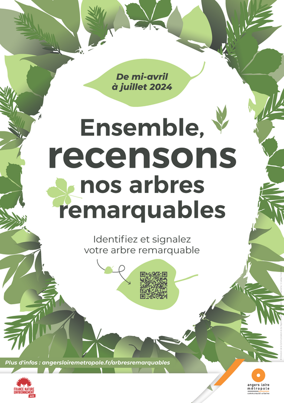 Image de l'article Ensemble, recensons nos arbres remarquables