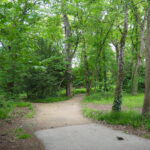 Image de l'article Bois de Fontaine