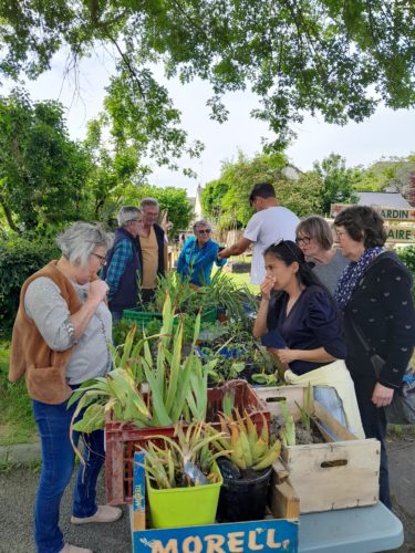 Image de l'article Troc de plantes avec le CCAS