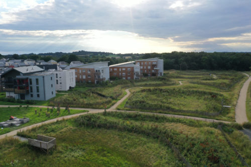 Image de l'article La forêt qui pousse