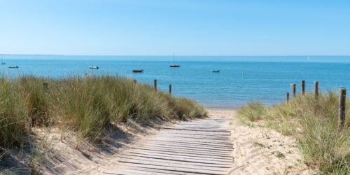 Image de l'article Sortie d’été : Une journée à la mer