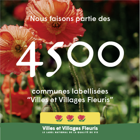 Image de l'article Label Villes et Villages Fleuris