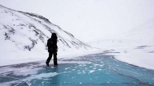 Image de l'article Les glaciers d’Arctique : état des lieux