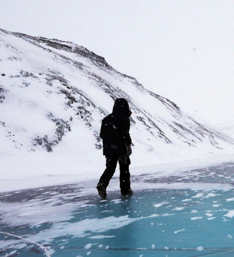 Image de l'article Le Cri de la Glace : Glaciers d’Arctique, état des lieux