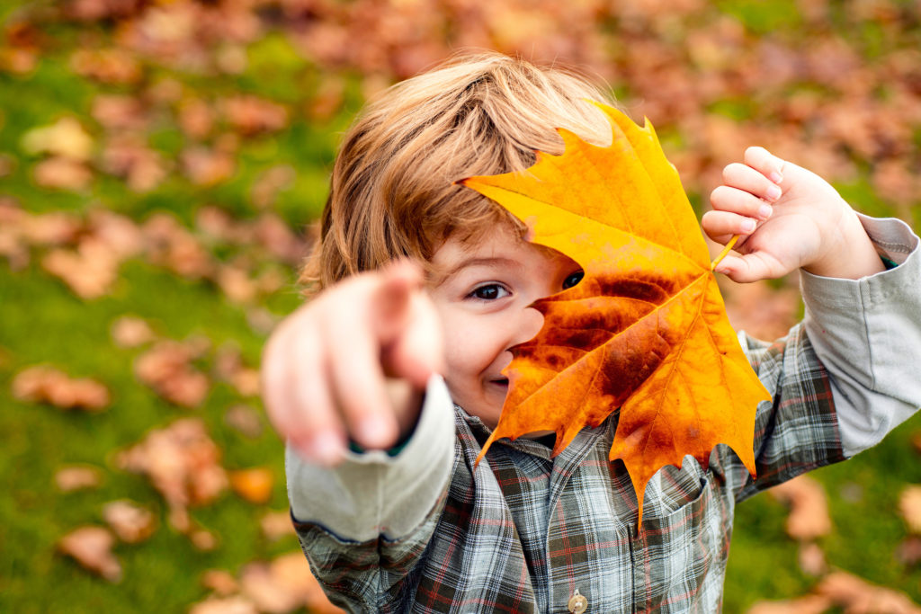 Image de l'article Vos vacances d’automne à Beaucouzé