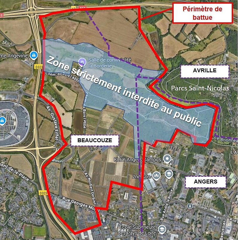 Image de l'article Battue aux sangliers le 18 décembre : une partie des parcs Saint-Nicolas interdite au public