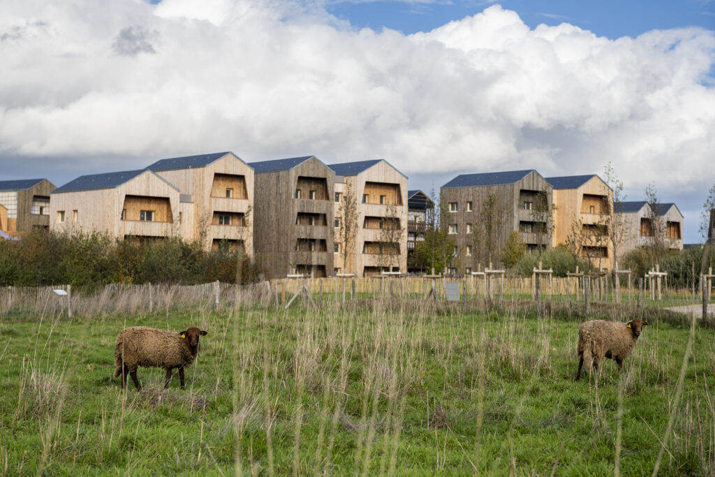 Image de l'article Travaux Echats III : dès le 16 mars