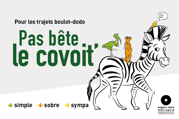 Image de l'article Pas bête le covoit&rsquo; !