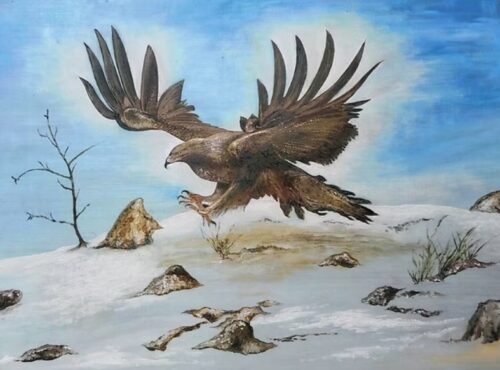 Image de l'article Exposition : Beaucoup de formes Zé Couleurs