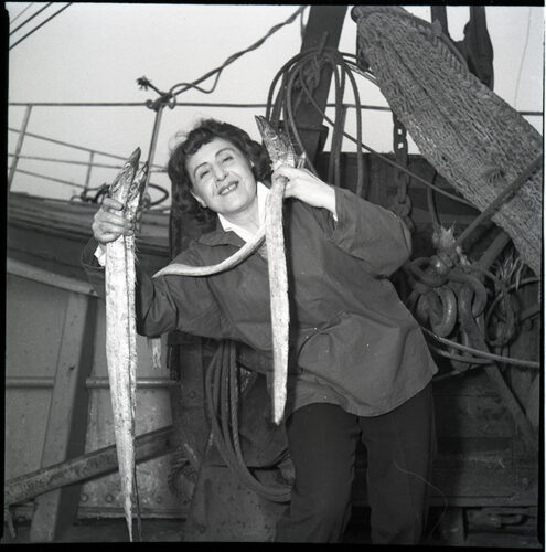 Image de l'article 20 ans de la médiathèque : Exposition sur Anita Conti