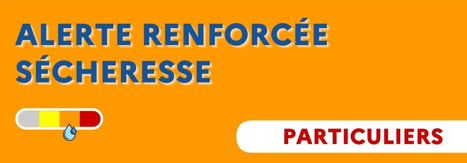 Image de l'article Le Maine-et-Loire placé en « alerte renforcée » sécheresse