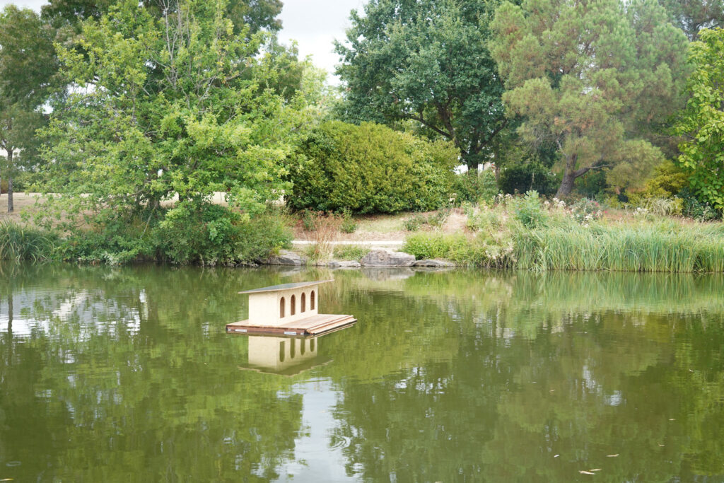 Image de l'article Budget participatif : installation de l’abri pour canards